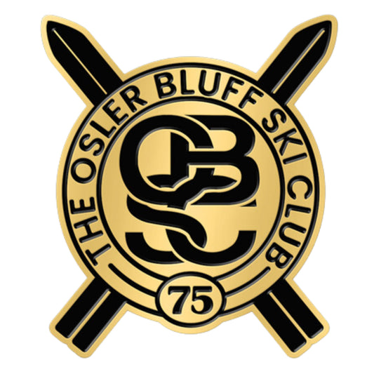 75th Lapel pin